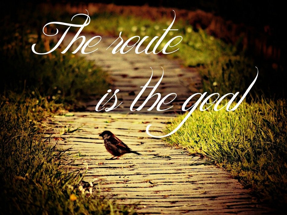 clipart of country path and sparrow