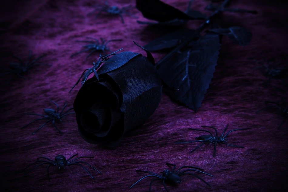 background black dark decoration