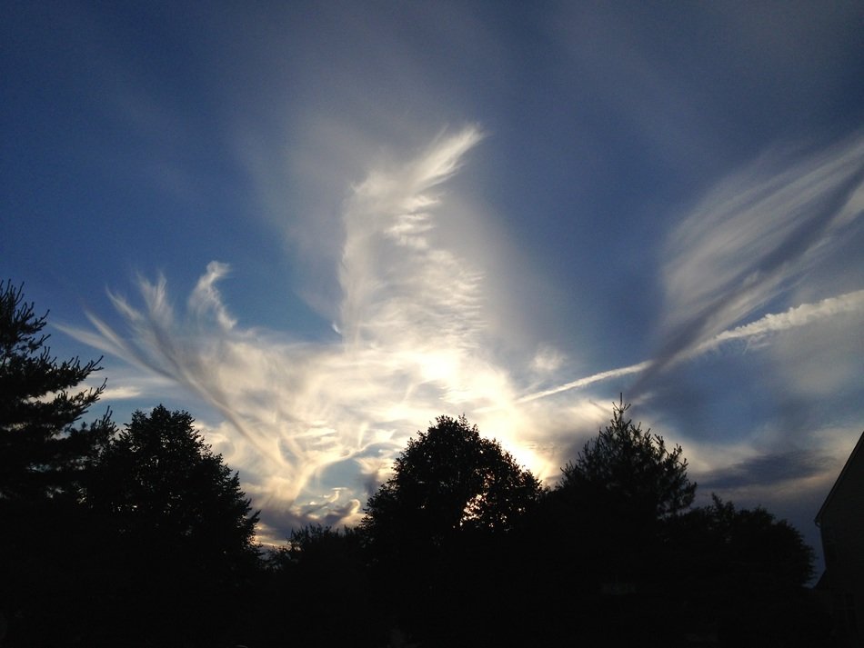 clouds pattern sky trees blue