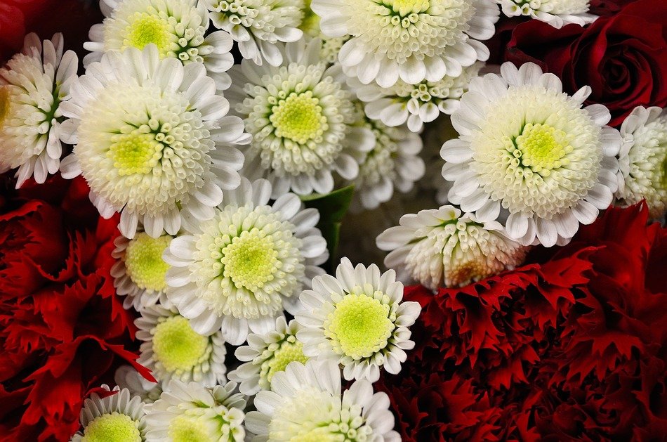 bouquet with red and white flowers