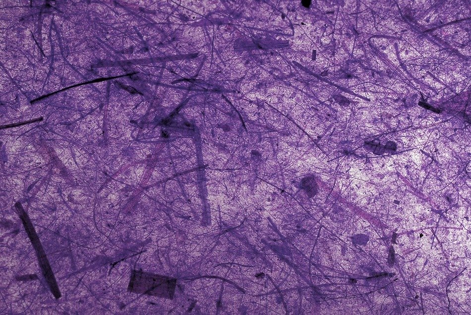 paper background banana bark dark
