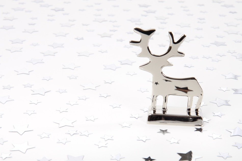 animal background christmas