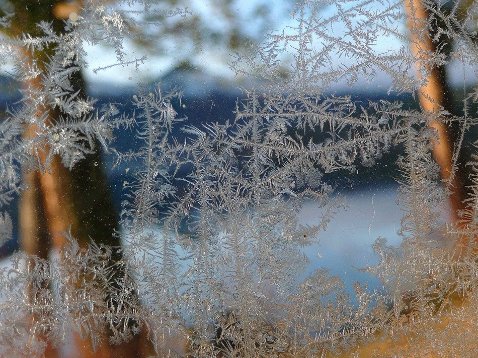 ice flowers glass window background