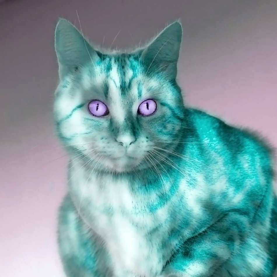 cat color game background trueb