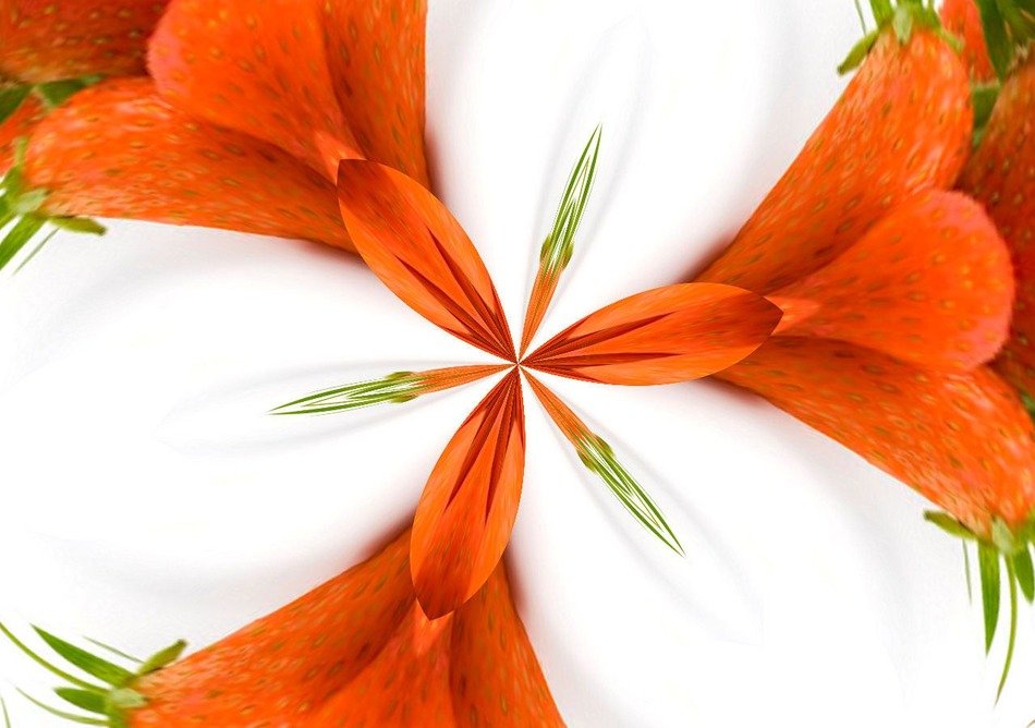 background flowers floral orange