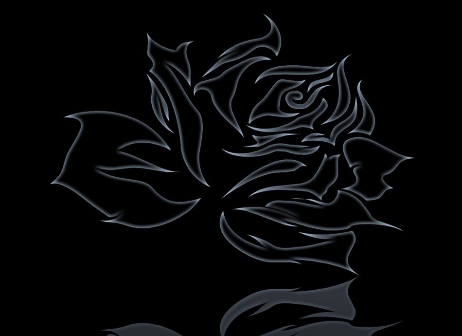 abstract rose black background