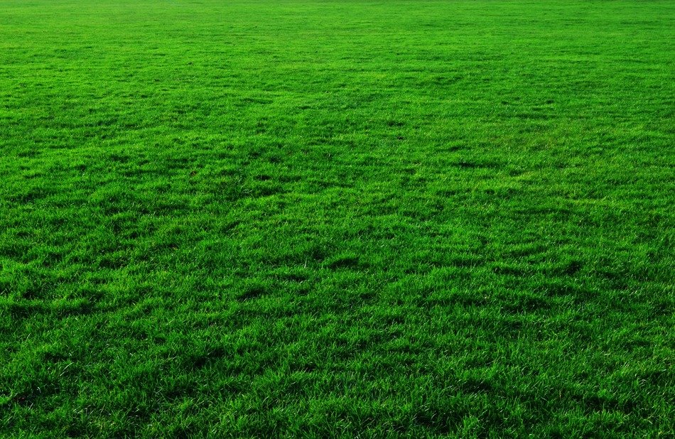 background green grass lawn