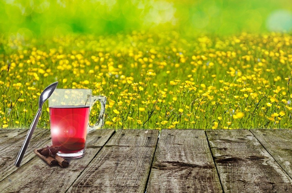 background with spring field and cup of tea