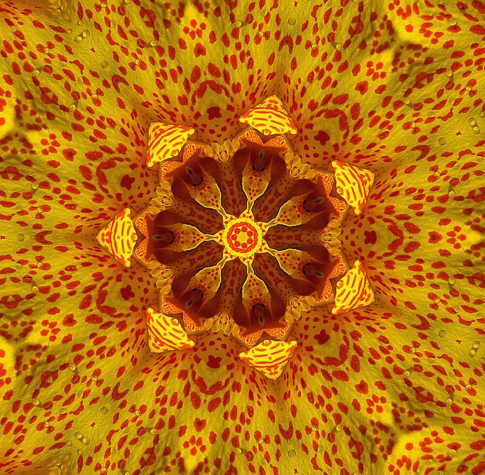 kaleidoscope picture transformation