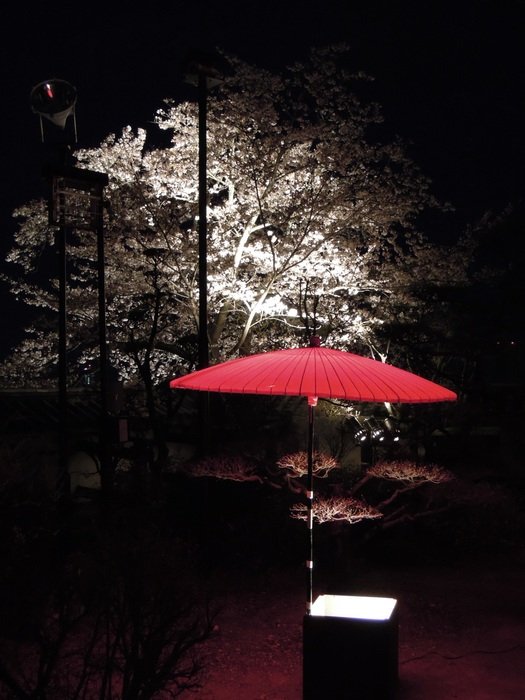 japan k castle night