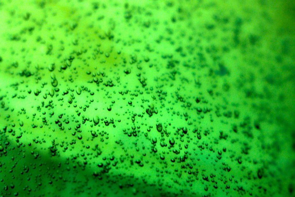 bubbles glass green air background