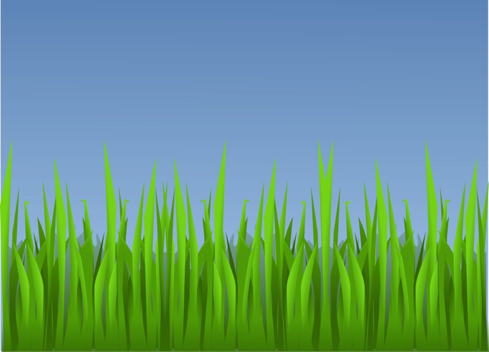 grass landscape wallpaper