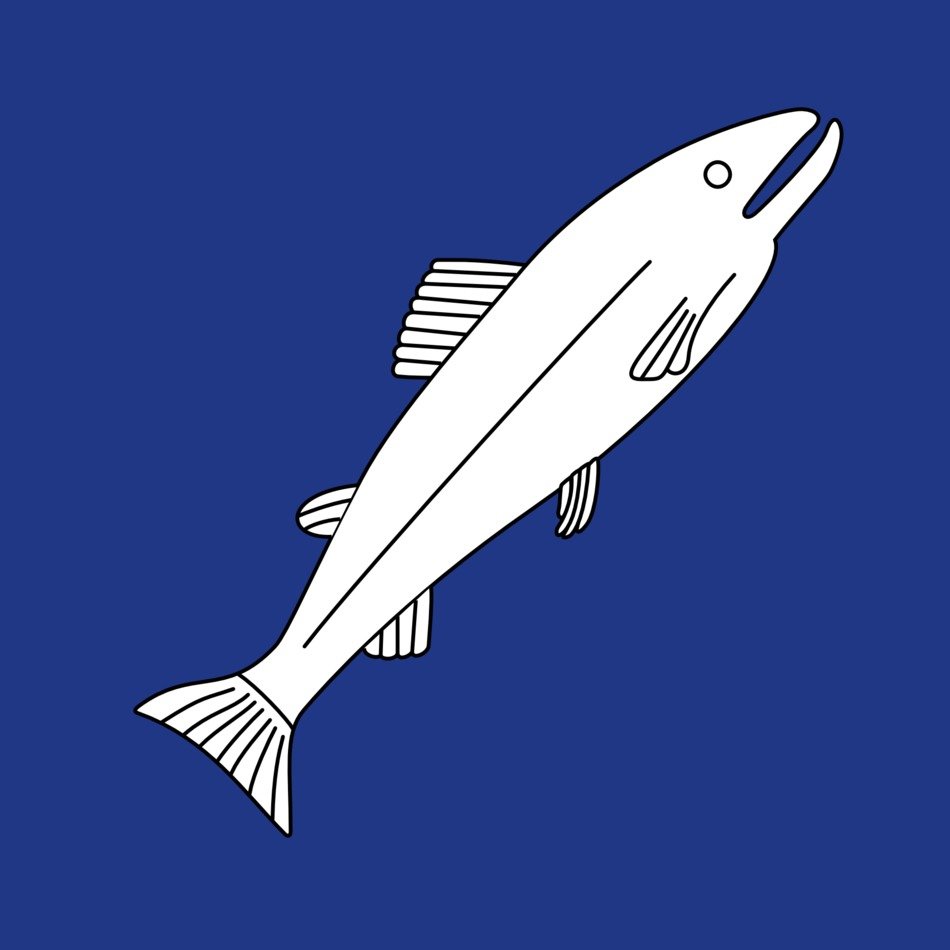 fish diagonal design pattern