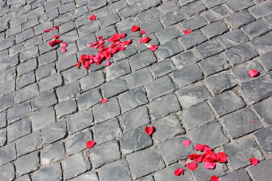 road paved petals of roses texture