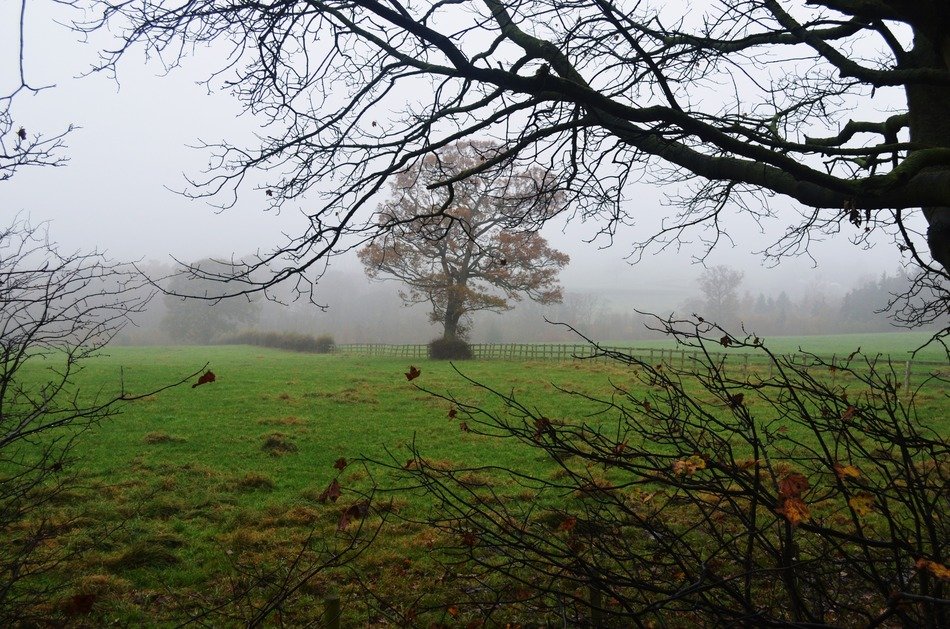united kingdom nature background