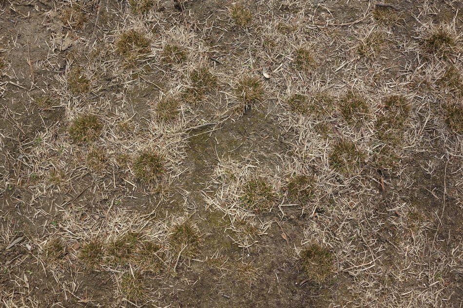 pattern pool the universe