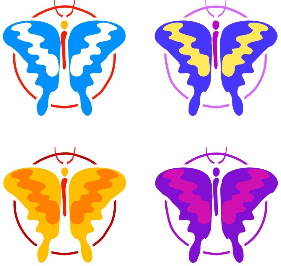 butterflies four colorful colors