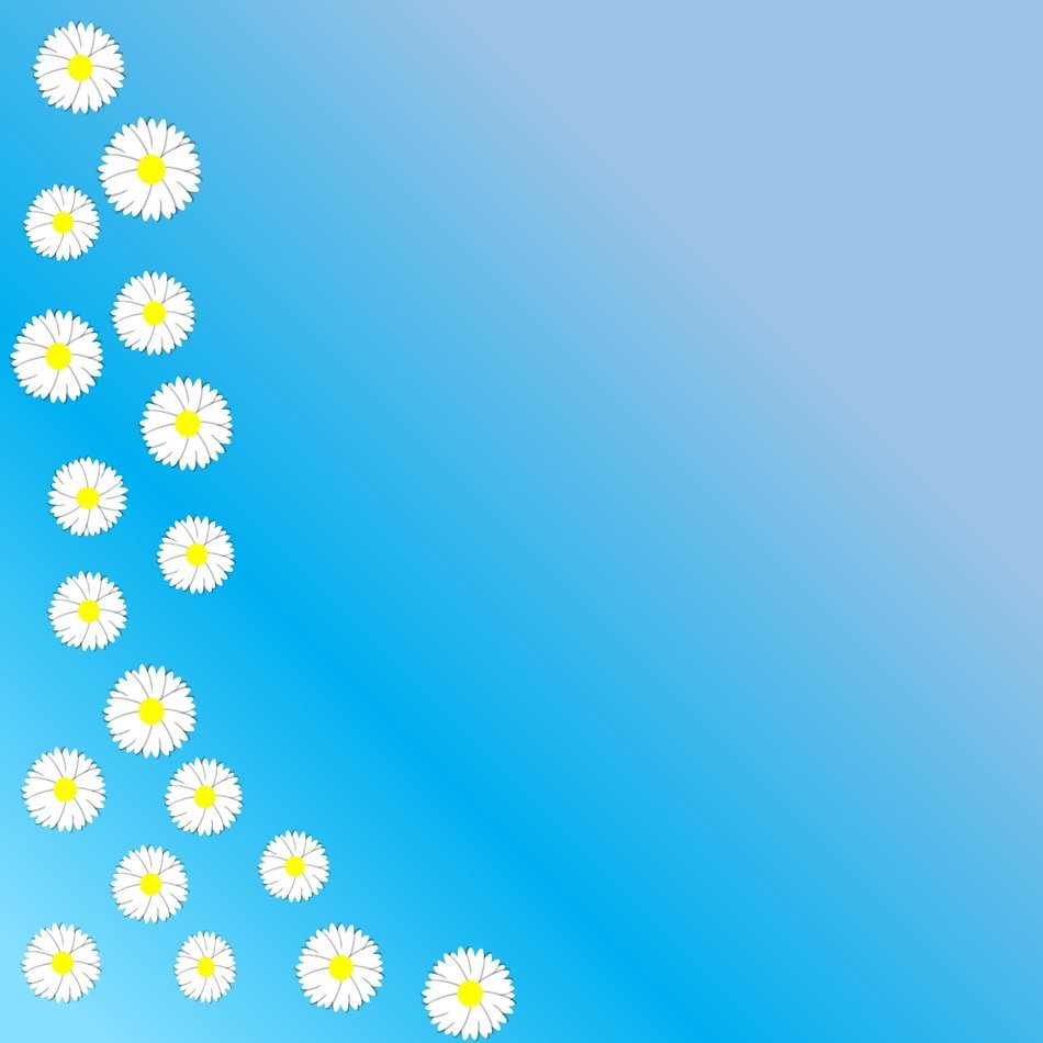 daisy flower spring aqua gradient