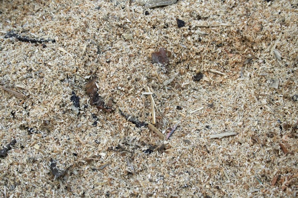 sawdust shavings waste snippets