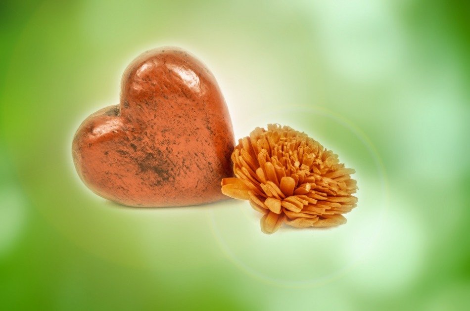 red wood heart isolated flowers