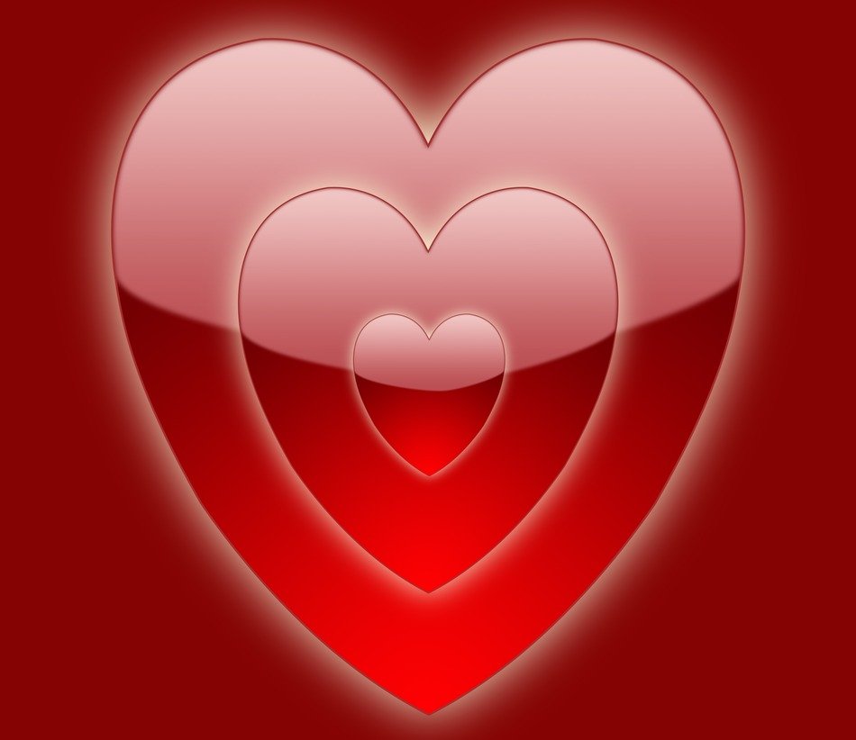 red valentine day heart hearts