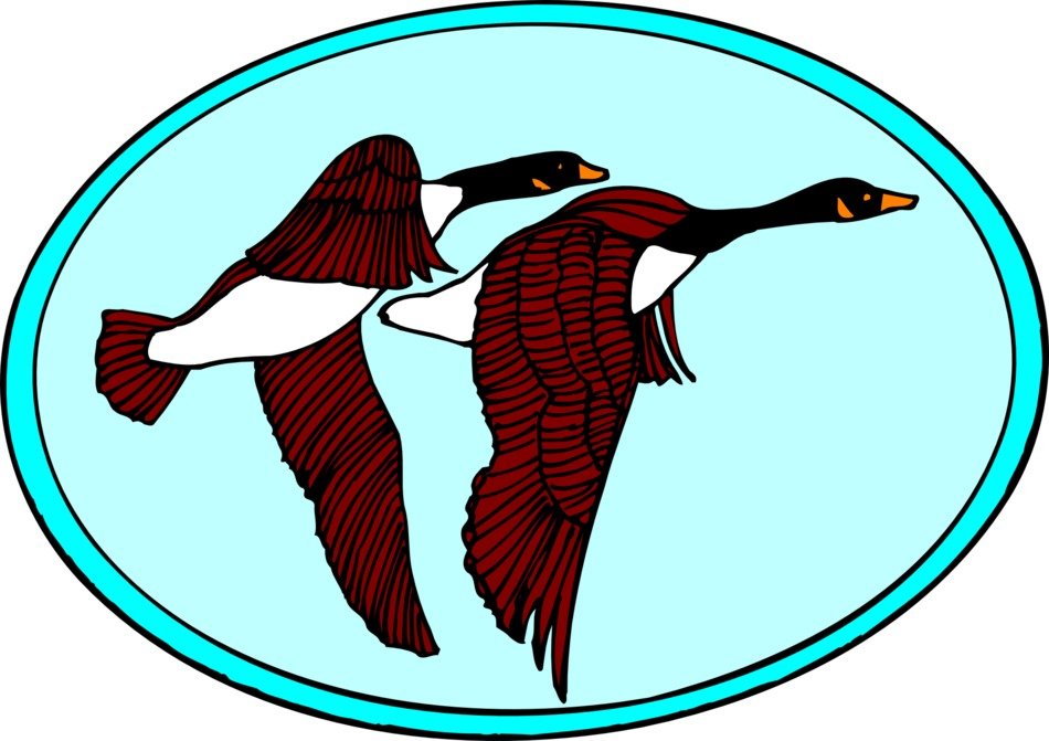 geese flying birds oval blue
