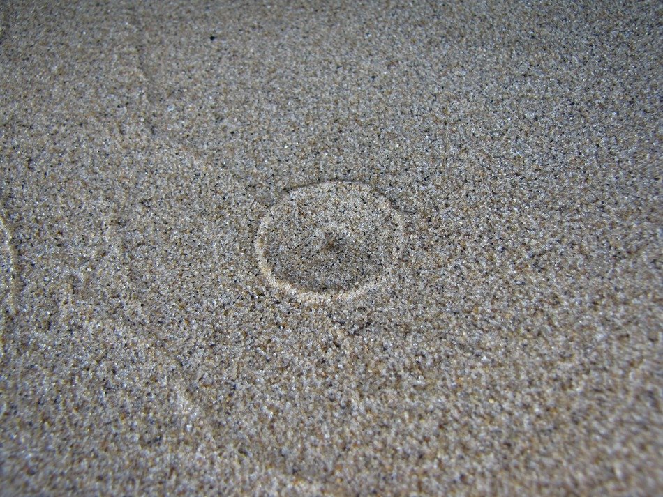 texture sand nature soil earth