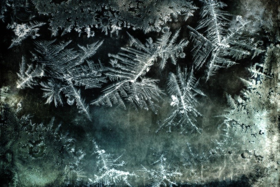 ice flowers glass night shot nature