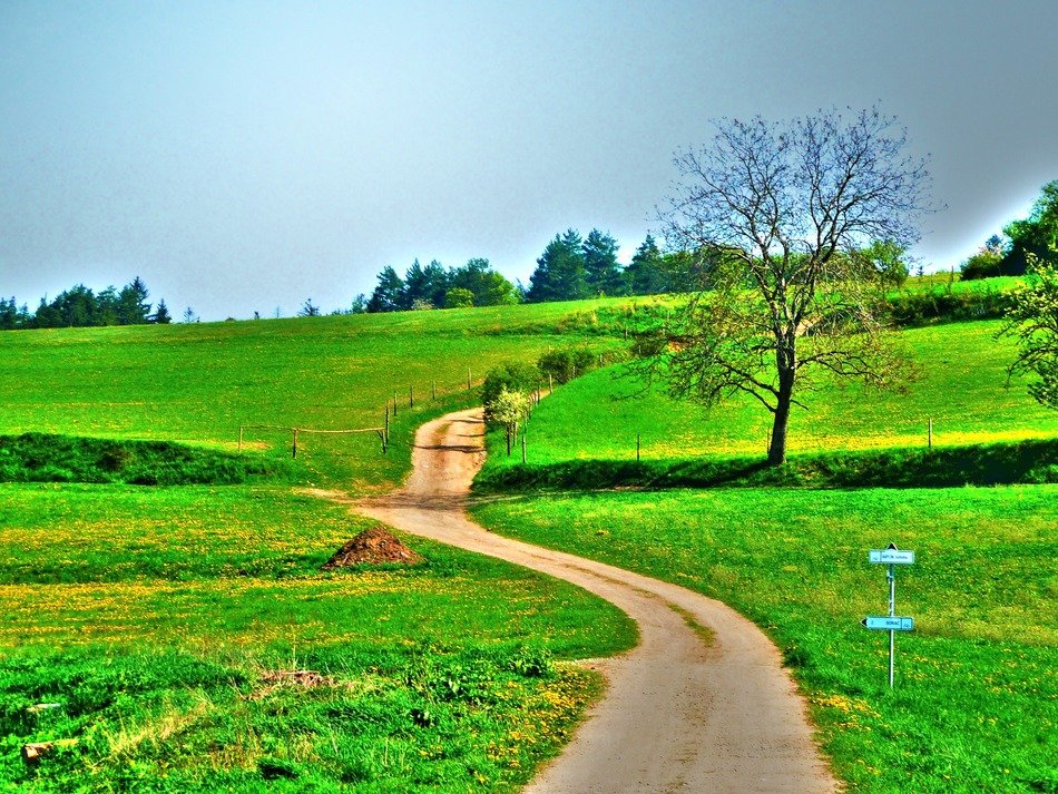 landscape nature background meadows