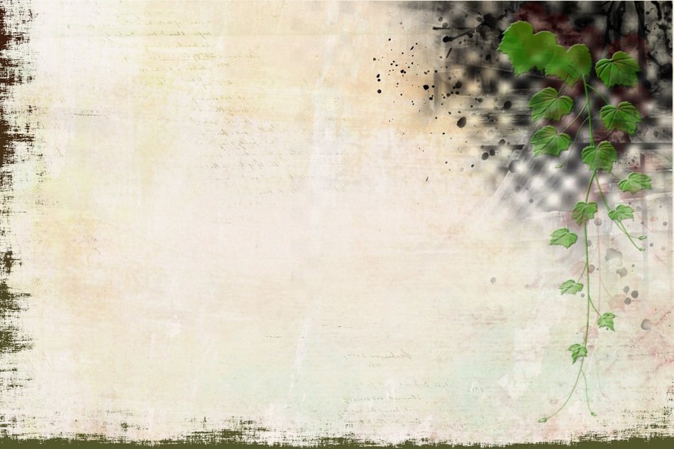 wine leaves background