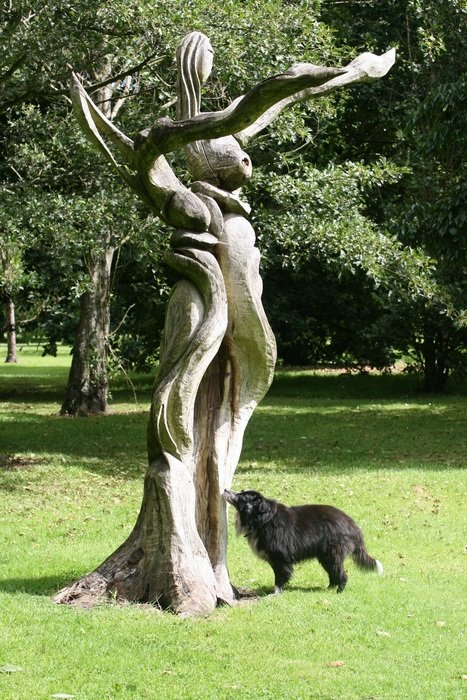 colly dog sculpture wood collie