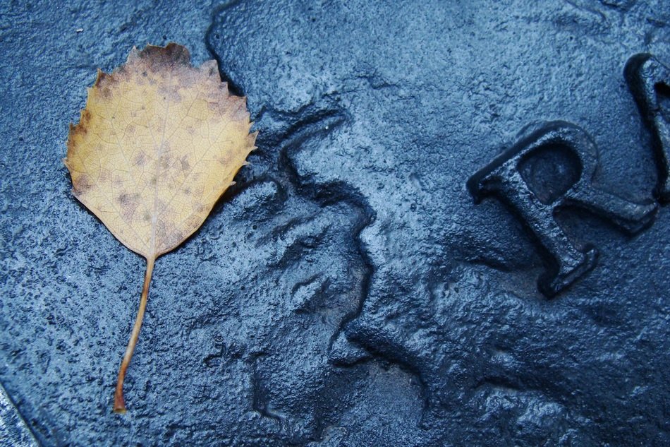 motherboard granite leaf foliage