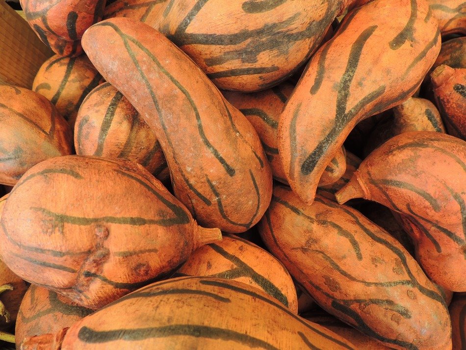 pumpkin pattern decoration dried