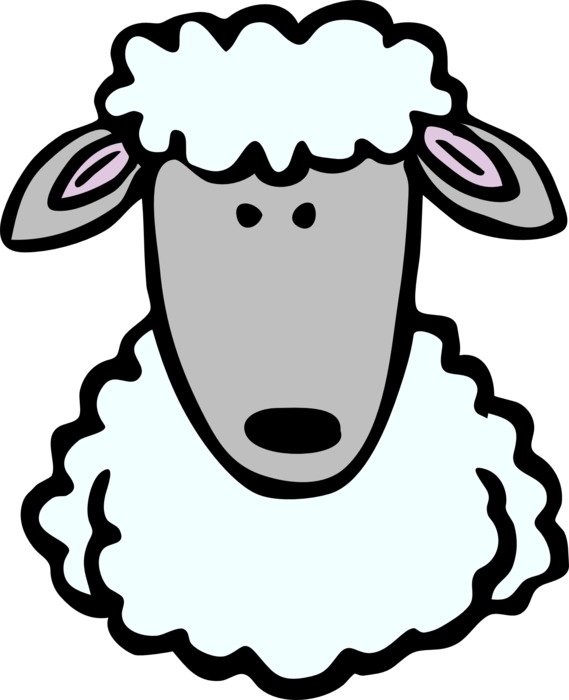 sheep face head funny portrait