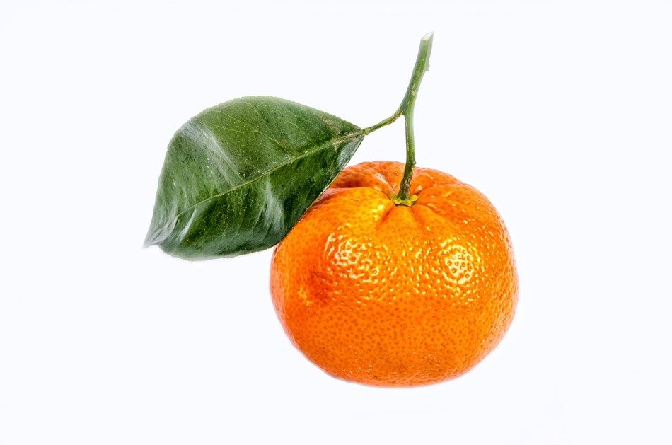 mandarin green white leaf close up