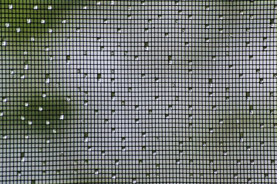 mesh fly screen rain drops water