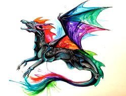 painted multi-colored dragon on a white banner