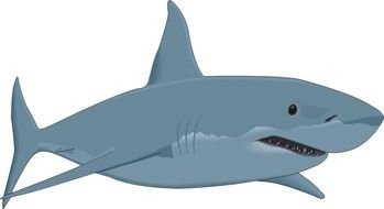 painted gray toothed shark