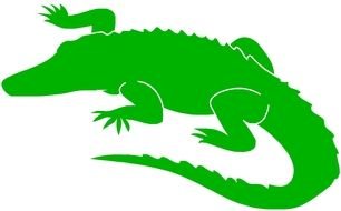 Alligator Cartoon Clip Art drawing