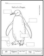 Penguin Worksheets drawing