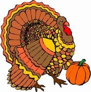 Happy Thanksgiving Turkey drawing