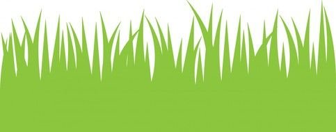 green grass as a colorful picture for clipart