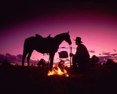 Wild West horse and man