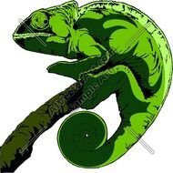 Chameleon Clip Art N7