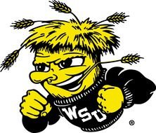 Wichita State University as an emblem