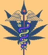 Medical Assistant Clip Art N2