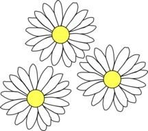 Daisies Clip Art N5