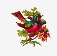 picture of a colorful bird with green leaves