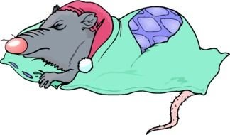 Cartoon Sleeping mouse drawing
