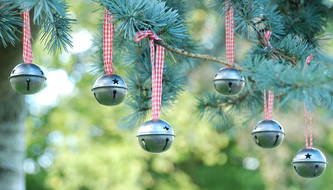 photo of round bells on a pine branch